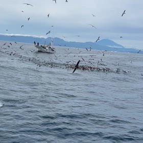 昨日も後半！激アツ❗️の画像