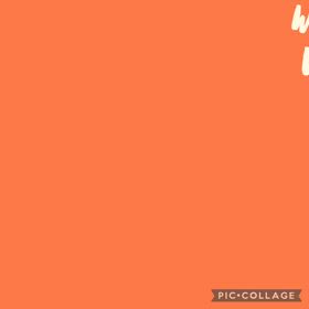 DOGXDOG こうくんの画像