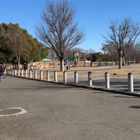 駅伝に向けて（1500ｍ）⑤の画像