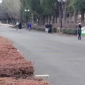 2/17 リレー選考会⑫の画像