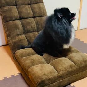 2024年6月11日 座椅子かずおの画像