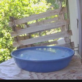 すぎぴたんの事件簿シーズン3　497話（そういう季節がやってきました！　ムカデ！）の画像