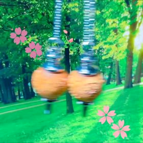 桜の季節にピッタリな柘植ペンデュラムの画像