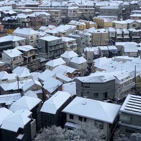 雪の朝の画像