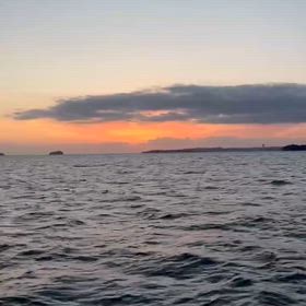 鰤狙いではあったけども、、、良き！の画像