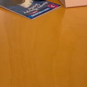 アナ雪３回！！の画像