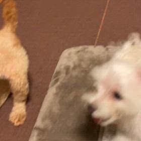 女子のたたかい！の画像