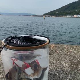 ジムと釣り、ウッカリ忘れ物、疲れてるんかなの画像