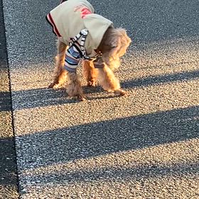 ㊗️19歳❗️の画像