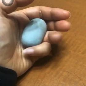 未来は分からない…そして『ご縁』の画像