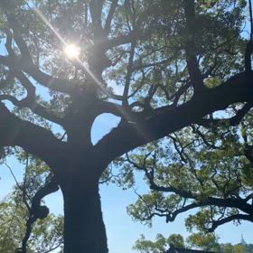 熊本市　北岡神社へ参拝しました⛩️の画像