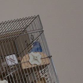 同じ言葉ばかり。。。の画像