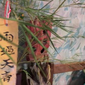 今日の話楽の画像