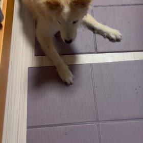 個人的なぼやき。。。。の画像