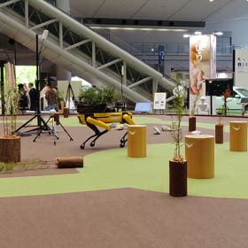 なんだろうの画像