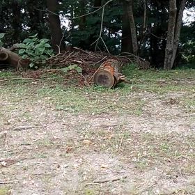 久しぶりにフロントアップの練習の画像