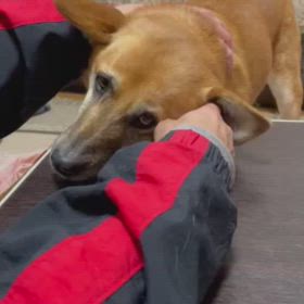 石岡八郷ベースの画像