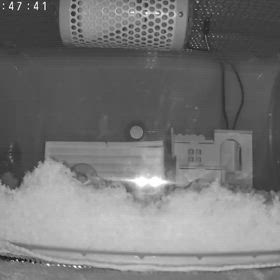 野田クリスタルさんが言ってた。の画像