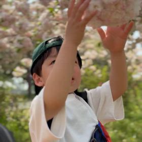 最高の時期かもの画像