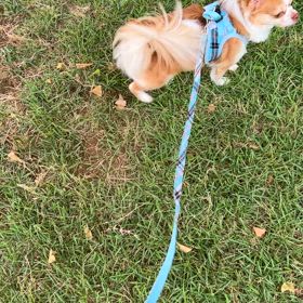 なんだろっの画像