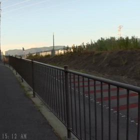 今日のあさんぽの画像