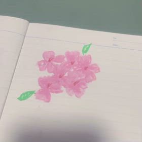 お花の画像
