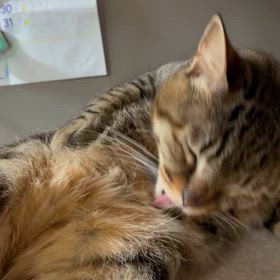 2024/03/30        だって女の子だもん❤️　の画像