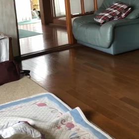 なにもこんな日に出かけなくても…やめてにゃー楽しいにゃ〜の画像