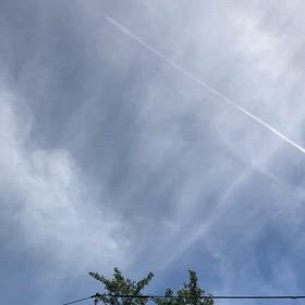 フジロックの画像