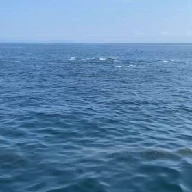 釣れそうだけどねの画像