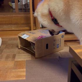 2022年10月22日(火)の画像