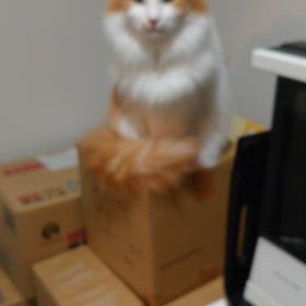 うみとやま2000日目（生後5年7ヶ月5日）の画像