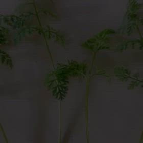 2024/09/09の画像