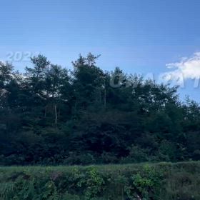 2024年10月11日（金）のおわらサーキットの画像