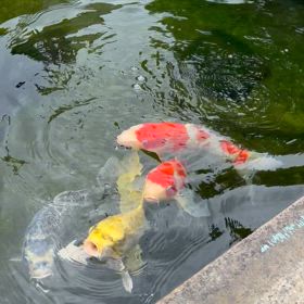 人間関係とは。の画像