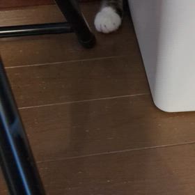 ５月２９日（木）の画像