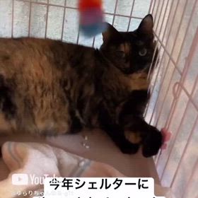 2024/12/04の画像