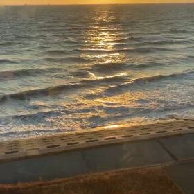 癒し。2025/01/30の画像