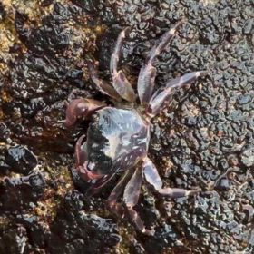 撮るのに必死ではないの画像