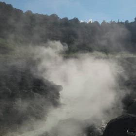 大地の恵みの画像