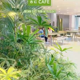 弘大のおすすめカフェの画像