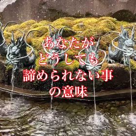 貴方がどうしても諦められない事の意味の画像