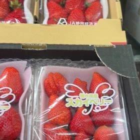 本日の販売してる品々の画像