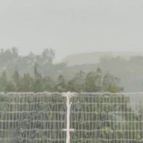 昨日大雨の画像