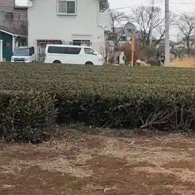 中間点（３区動画）①の画像