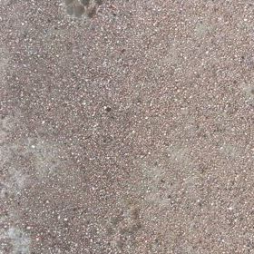 やまちゃーん(=^ェ^=)の画像