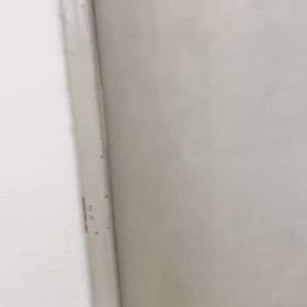 ちょっと前、12月の画像