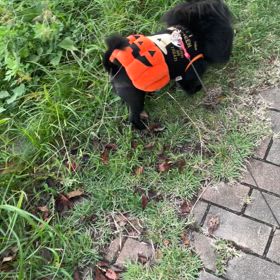 2024年10月31日　ハロウィンの画像