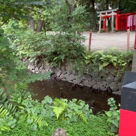 大宮氷川神社内 宗像神社お池水の音の画像