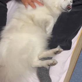 うっとりの画像